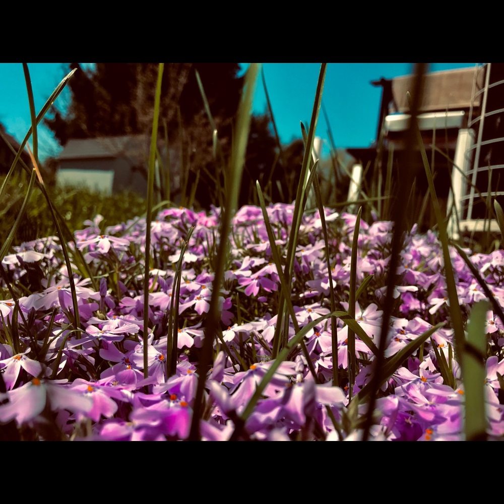 ACCEPTING ALL OFFERS!